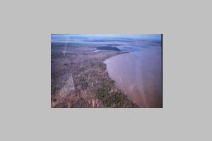 74405332-SLD-002-0038.jpg