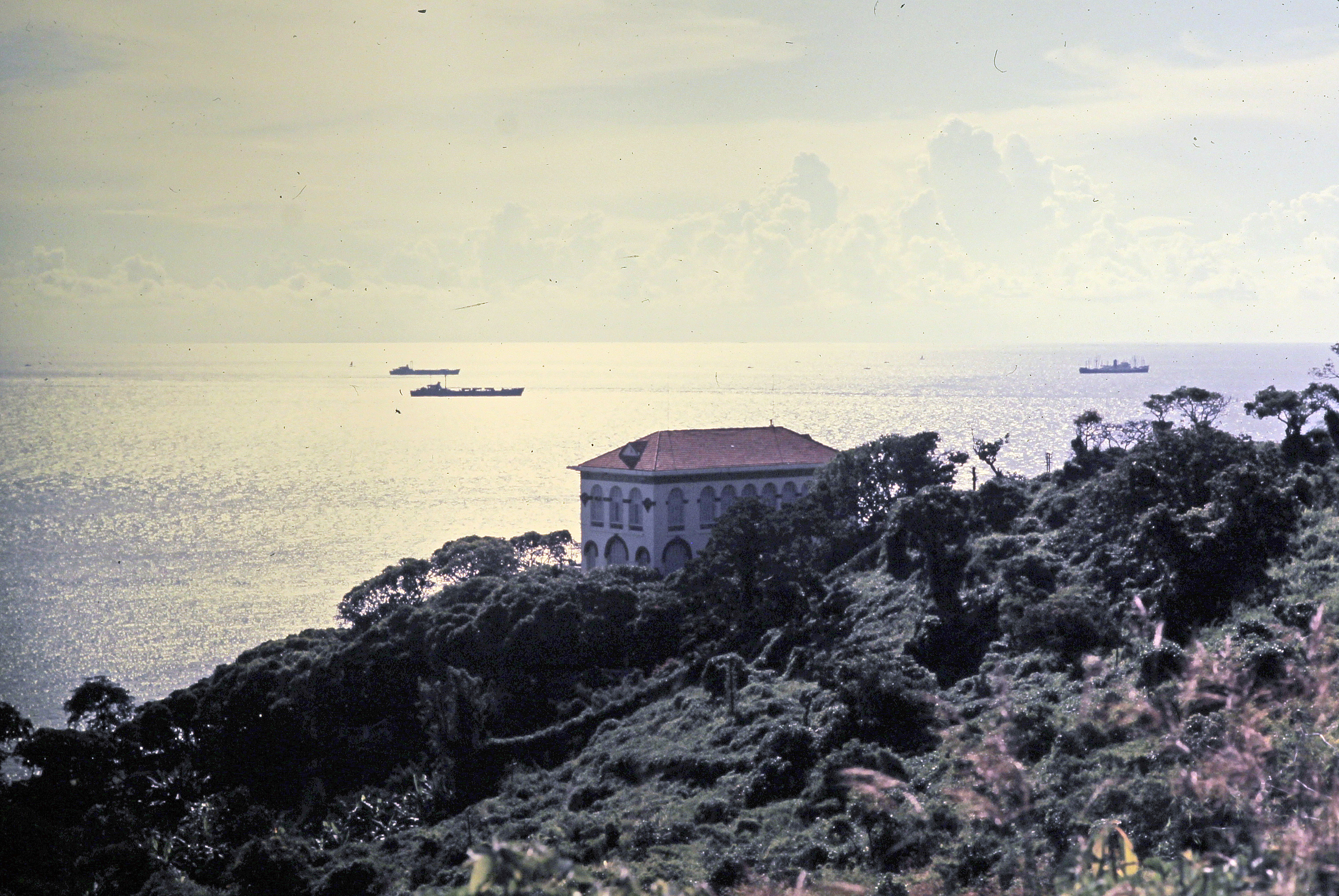 Jeff's Pic